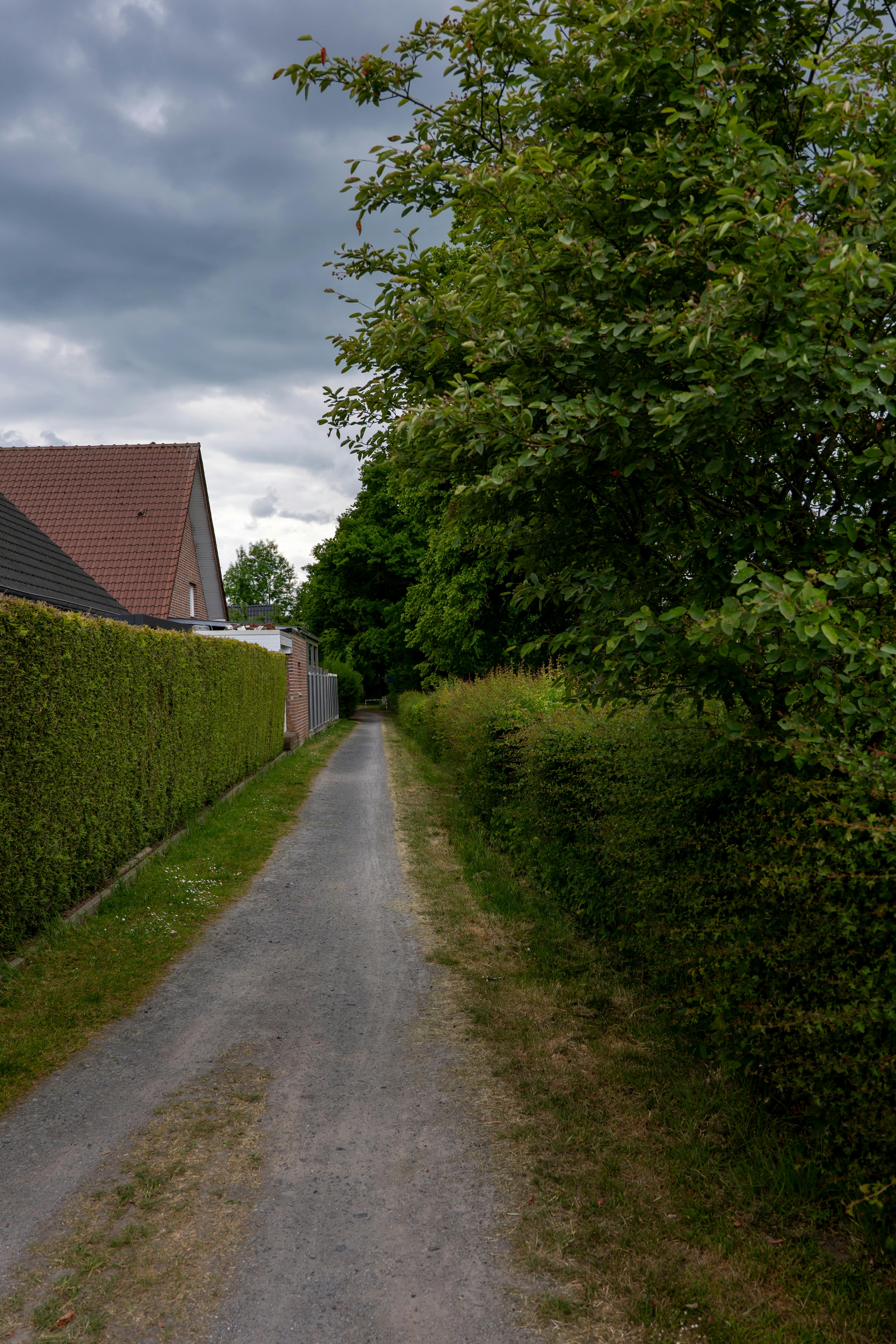 Hækklipning Herlev